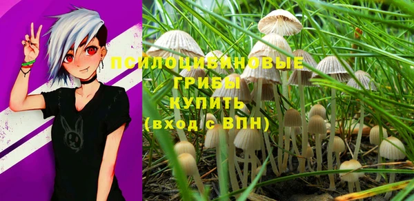шишки Верхнеуральск