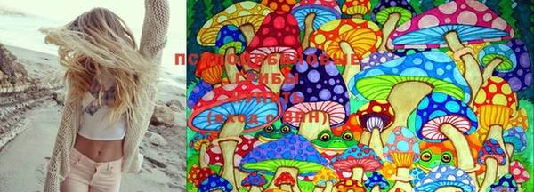 шишки Верхнеуральск
