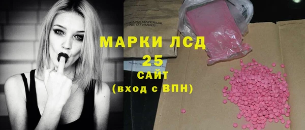 spice Верея