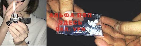 spice Верея