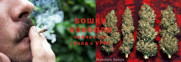шишки Верхнеуральск